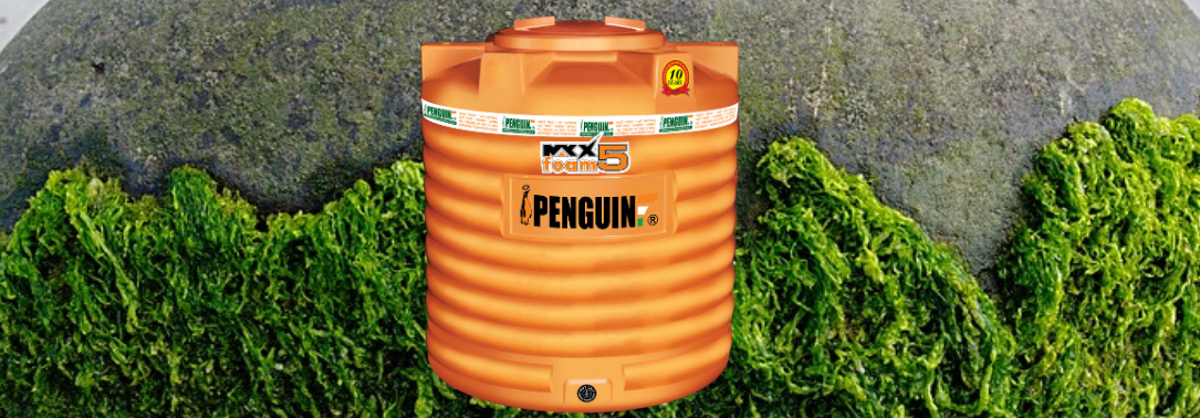 Domestic Water Storage Tank