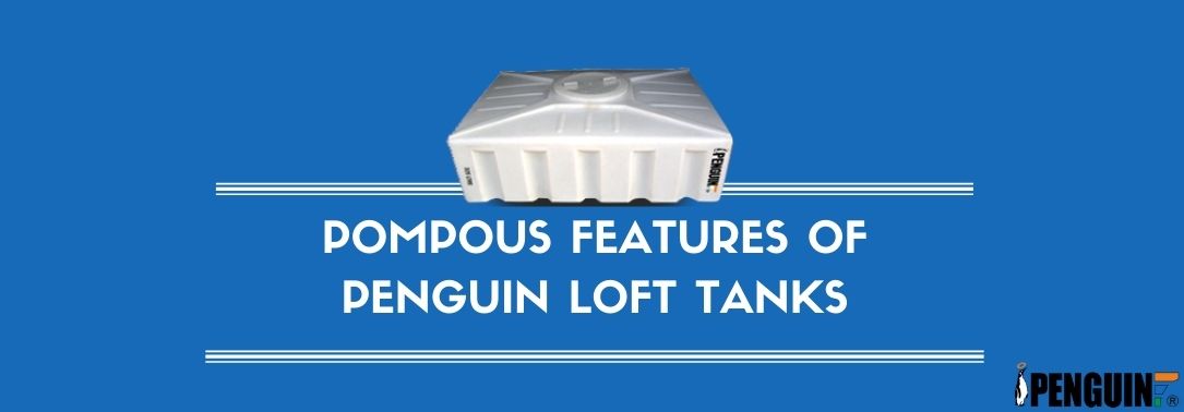 Pompous Features Of Penguin Loft Tanks