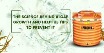 science behind algae growth